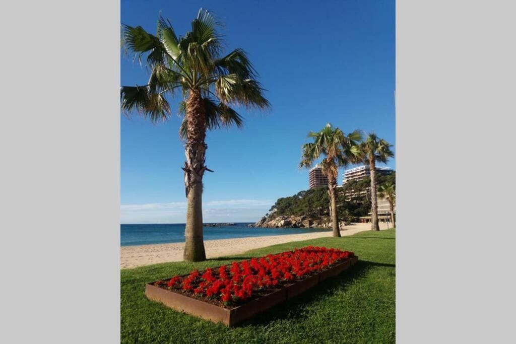 Costa Brava-St Antoni De Calonge Apartament Per Parelles I Families Petites Экстерьер фото